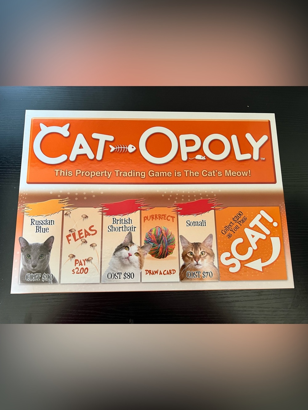 British Shorthair & Somali Cat Game Board (Orange)